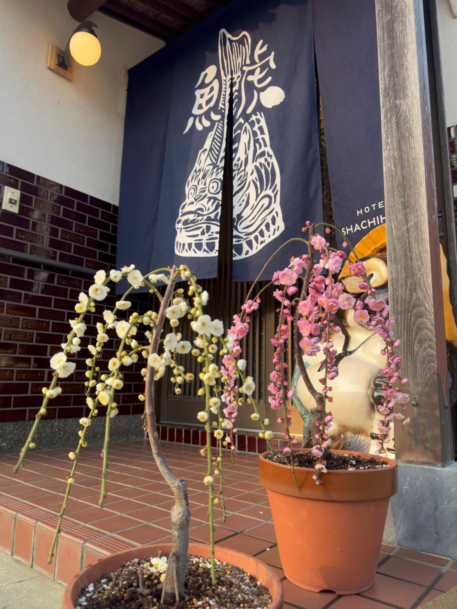 Imari Shachihoko 海辺の一棟貸切ヴィラ しゃちほこ מראה חיצוני תמונה